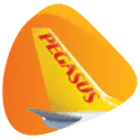 Pegasus Airlines logosu