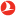 Turkish Technic logosu
